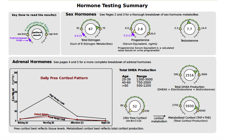 Hormone Panel sample snapshot
